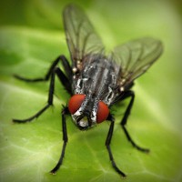 /album/berti-color/photolia-a01-jpg/