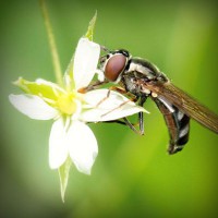 /album/berti-color/photolia-a02-jpg/