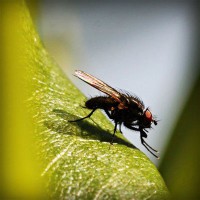 /album/berti-color/photolia-a04-jpg/