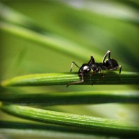 /album/berti-color/photolia-a05-jpg/