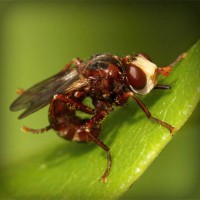 /album/berti-color/photolia-a06-jpg/