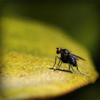 /album/berti-color/photolia-a07-jpg/