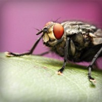 /album/berti-color/photolia-a08-jpg/